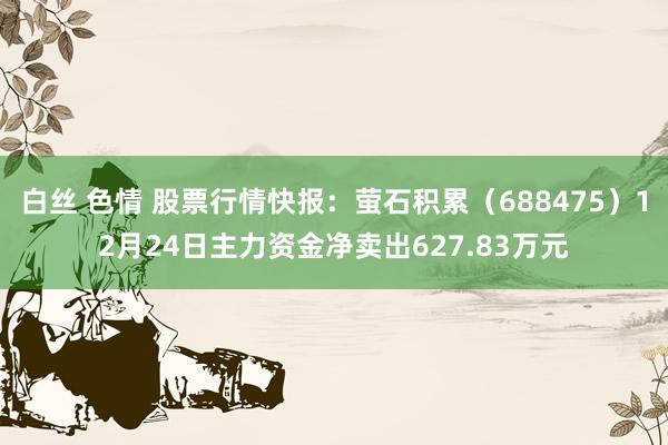 白丝 色情 股票行情快报：萤石积累（688475）12月24日主力资金净卖出627.83万元