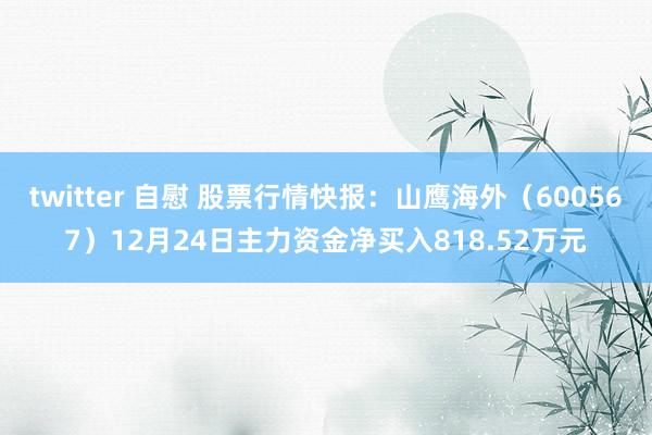 twitter 自慰 股票行情快报：山鹰海外（600567）12月24日主力资金净买入818.52万元