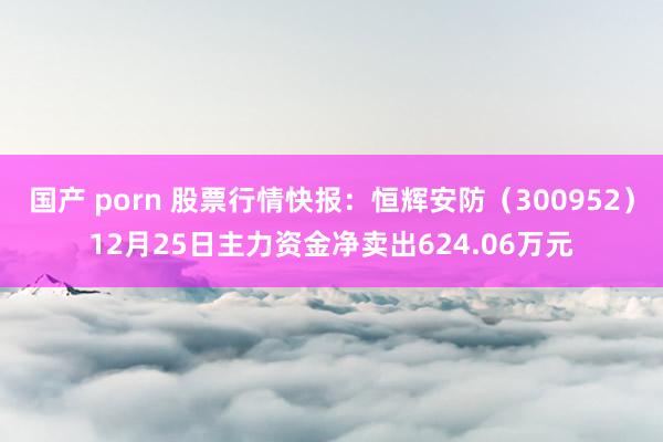 国产 porn 股票行情快报：恒辉安防（300952）12月25日主力资金净卖出624.06万元