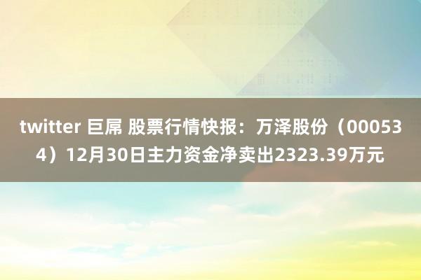 twitter 巨屌 股票行情快报：万泽股份（000534）12月30日主力资金净卖出2323.39万元