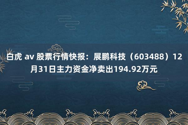 白虎 av 股票行情快报：展鹏科技（603488）12月31日主力资金净卖出194.92万元