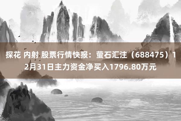 探花 内射 股票行情快报：萤石汇注（688475）12月31日主力资金净买入1796.80万元