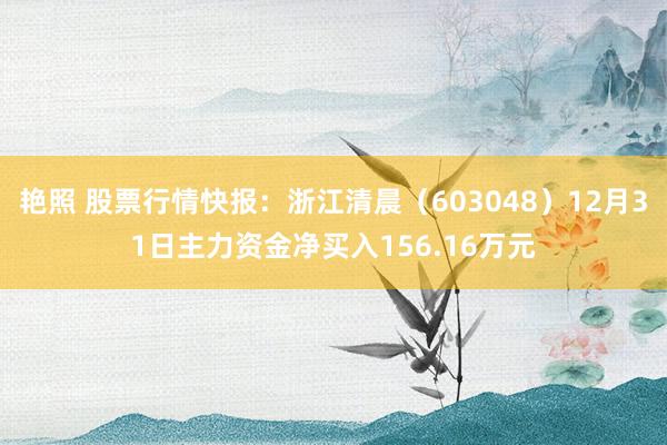 艳照 股票行情快报：浙江清晨（603048）12月31日主力资金净买入156.16万元