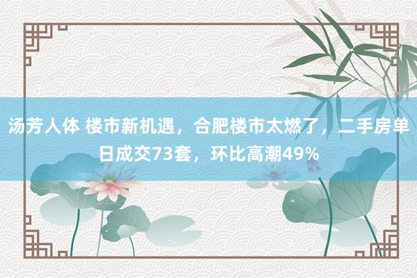 汤芳人体 楼市新机遇，合肥楼市太燃了，二手房单日成交73套，环比高潮49%