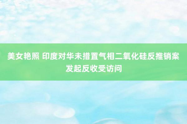 美女艳照 印度对华未措置气相二氧化硅反推销案发起反收受访问