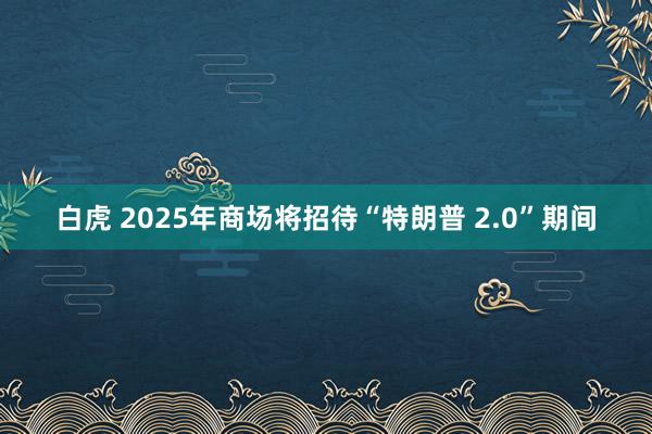 白虎 2025年商场将招待“特朗普 2.0”期间