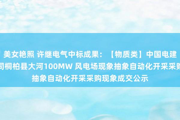 美女艳照 许继电气中标成果：【物质类】中国电建山东电建一公司桐柏县大河100MW 风电场现象抽象自动化开采采购现象成交公示