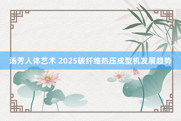 汤芳人体艺术 2025碳纤维热压成型机发展趋势