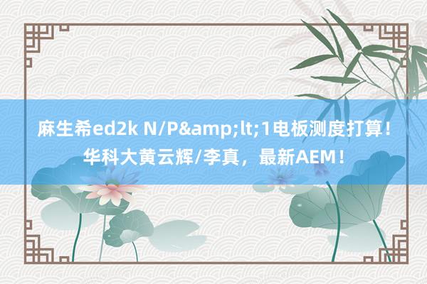 麻生希ed2k N/P&lt;1电板测度打算！华科大黄云辉/李真，最新AEM！