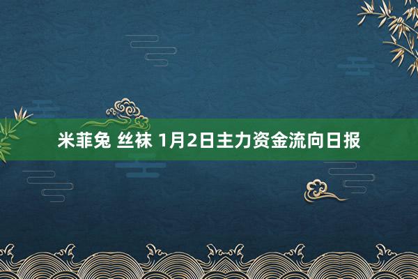 米菲兔 丝袜 1月2日主力资金流向日报