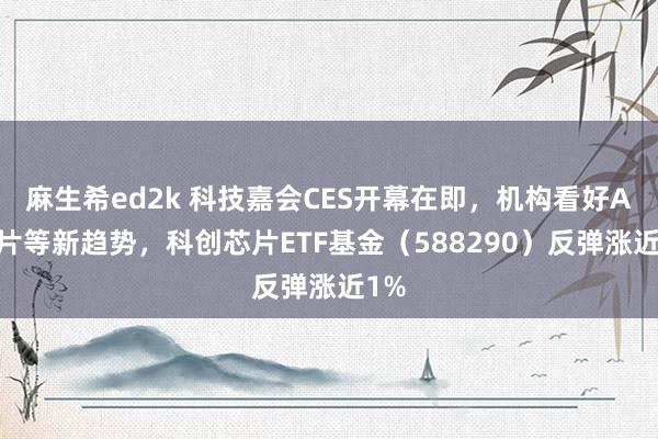 麻生希ed2k 科技嘉会CES开幕在即，机构看好AI芯片等新趋势，科创芯片ETF基金（588290）反弹涨近1%