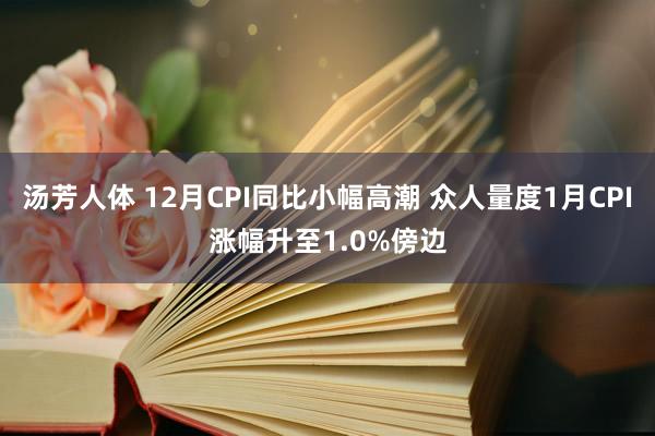 汤芳人体 12月CPI同比小幅高潮 众人量度1月CPI涨幅升至1.0%傍边