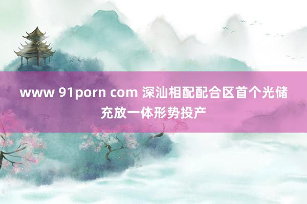 www 91porn com 深汕相配配合区首个光储充放一体形势投产