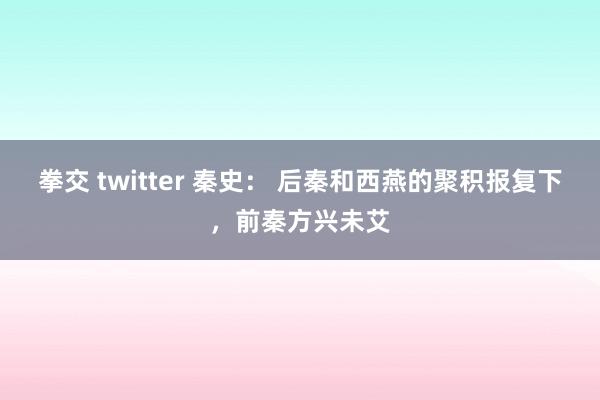 拳交 twitter 秦史： 后秦和西燕的聚积报复下，前秦方兴未艾