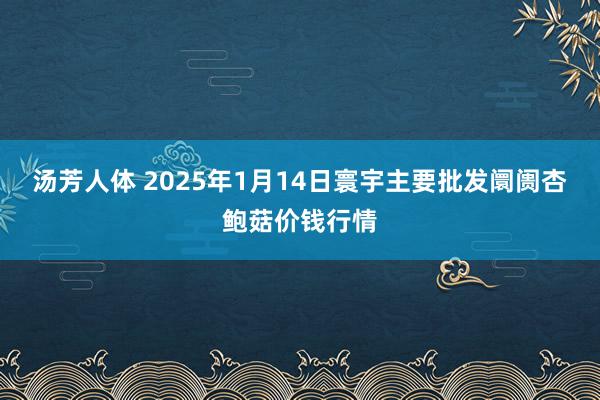 汤芳人体 2025年1月14日寰宇主要批发阛阓杏鲍菇价钱行情