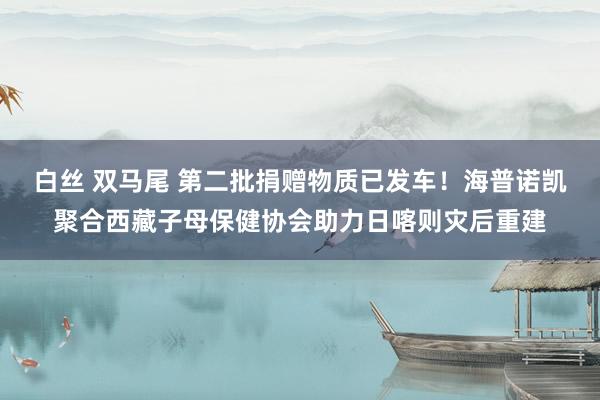 白丝 双马尾 第二批捐赠物质已发车！海普诺凯聚合西藏子母保健协会助力日喀则灾后重建