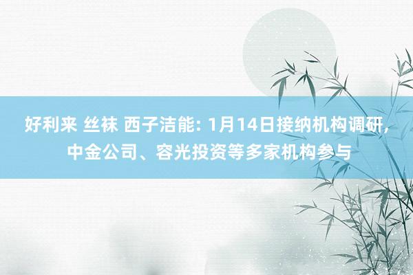 好利来 丝袜 西子洁能: 1月14日接纳机构调研， 中金公司、容光投资等多家机构参与